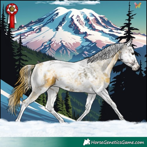 Horse Color:Liver Red Onyx Ice Splash Tobiano 