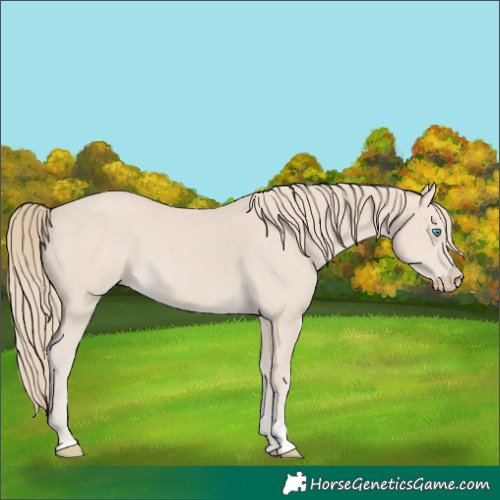 Horse Color:Smoky Creme 