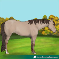 Horse Color:Classic Champagne Dun Sabino