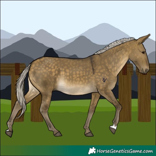 Horse Color:Silver Buckskin Dun 