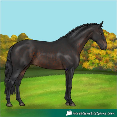 Horse Color:Brown 