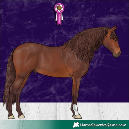 Horse Color:Chocolate Brown 