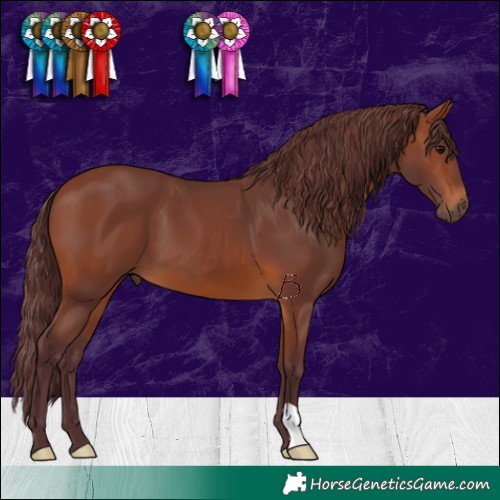 Horse Color:Chocolate Brown 
