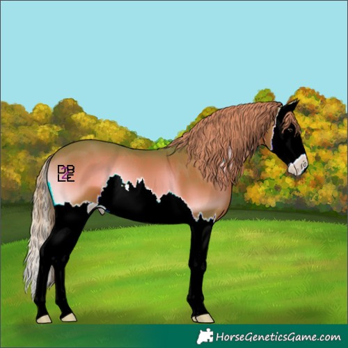 Horse Color:Watercolor Red Onyx Splash 