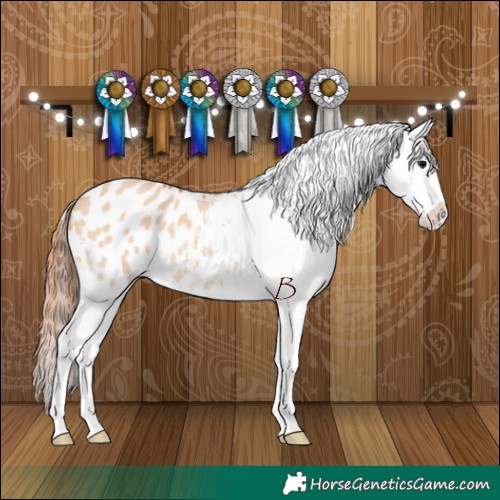 Horse Color:Bay Dun Sabino Blanket 