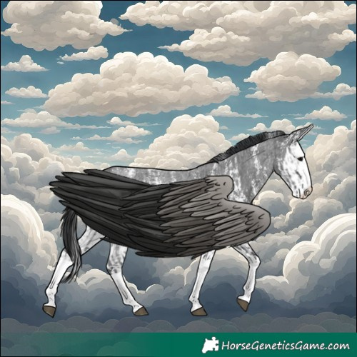 Horse Color:Blue Roan Sabino Splash and Blue Roan Sabino Splash
