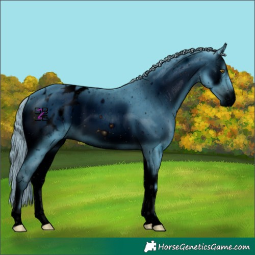 Horse Color:ERROR: UNKNOWN ANOMALY