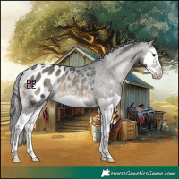 Horse Color:Blue Onyx Splash Blanket 