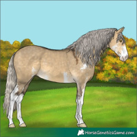 Horse Color:Silver Buckskin Dun Mushroom Sabino