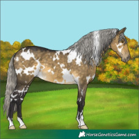 Horse Color:White Spotted Silver Buckskin Dun Mushroom 