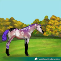 Horse Color:Void Watercolor Bay Ice Onyx Sabino Tobiano 