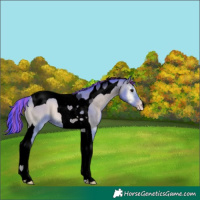 Horse Color:Void Painted Watercolor Classic Champagne Onyx Tobiano 