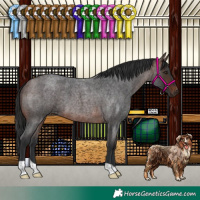 Horse Color:Brown Roan