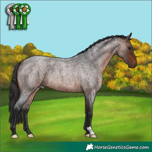 Horse Color:Brown Roan 