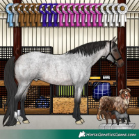 Horse Color:Brown Roan