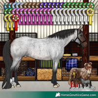 Horse Color:Brown Roan