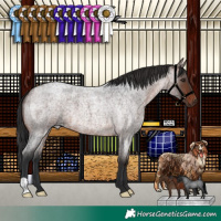 Horse Color:Brown Roan