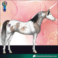 Horse Color:Bay Dun Mushroom Sabino Splash Tobiano