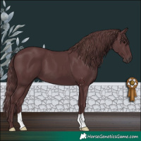 Horse Color:Chocolate Black