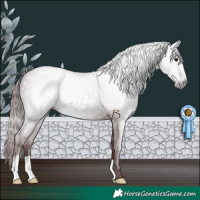 Horse Color:Gray Chocolate Black 