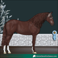 Horse Color:Gray Chocolate Black