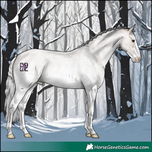 Horse Color:Platinum Silver Bay Roan Dun Sabino 