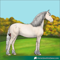 Horse Color:Silver Sable Cream Champagne Pearl 