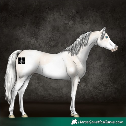 Horse Color:White Spotted Cremello Sabino Frame 