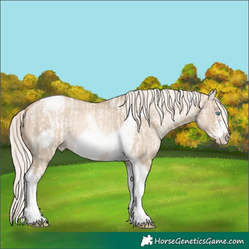 Horse Color:Gold Cream Champagne Pearl Dun Tobiano Frame  and Chocolate Palomino Pearl Dun Tobiano Frame 