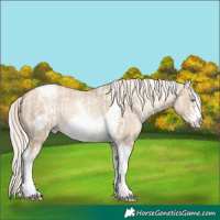 Horse Color:Gold Cream Champagne Pearl Dun Tobiano Frame and Chocolate Palomino Pearl Dun Tobiano Frame