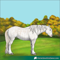 Horse Color:Smoky Creme Splash and Smoky Creme Splash