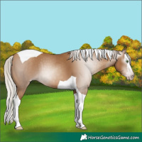 Horse Color:Gray Silver Classic Champagne Splash Tobiano 