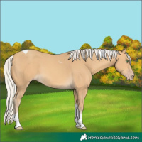 Horse Color:Silver Sable Cream Champagne Tobiano 