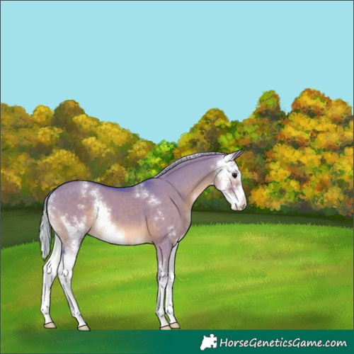 Horse Color:Watercolor Silver Grullo Sabino 