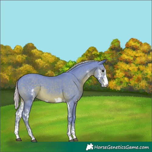 Horse Color:Watercolor Silver Black Sabino 
