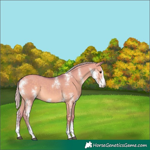 Horse Color:Watercolor Silver Grullo Sabino 