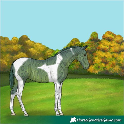 Horse Color:Watercolor Liver Chestnut Ice Tobiano 