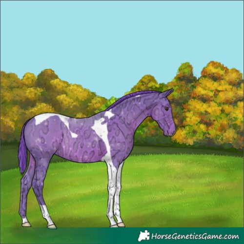 Horse Color:Watercolor Liver Chestnut Ice Tobiano 