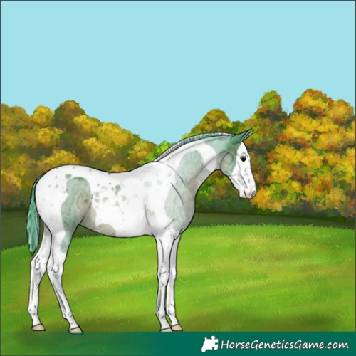 Horse Color:Watercolor Brown Ice Splash Tobiano 
