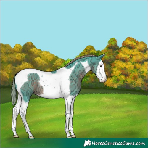 Horse Color:Watercolor Liver Chestnut Ice Splash Tobiano 