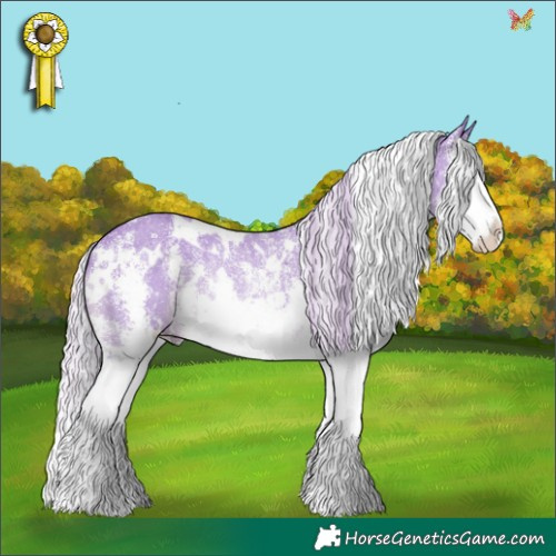Horse Color:Watercolor White Spotted Silver Black Chinchilla Sabino Splash Rabicano 
