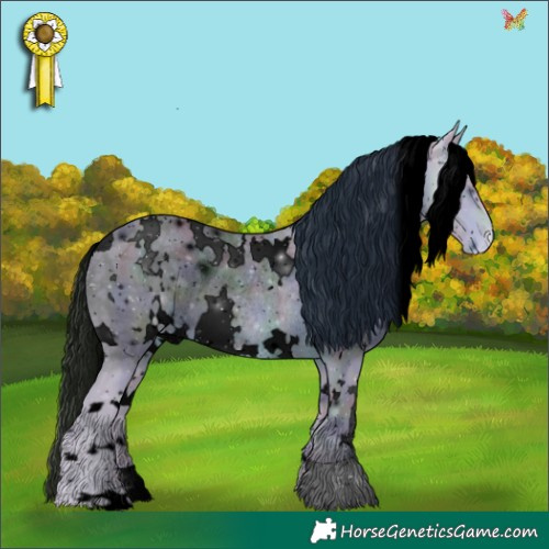 Horse Color:ERROR: UNKNOWN ANOMALY