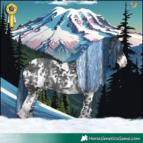 Horse Color:Painted White Spotted Black Sabino Rabicano 