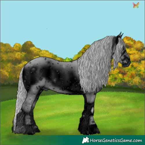 Horse Color:ERROR: UNKNOWN ANOMALY