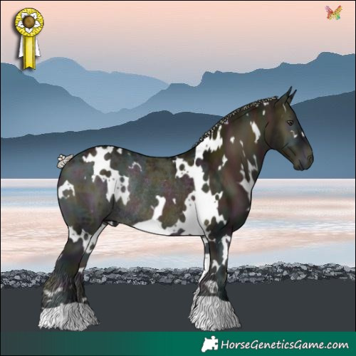 Horse Color:White Spotted Midnight Silver Blue Onyx Chinchilla Ice Rabicano 