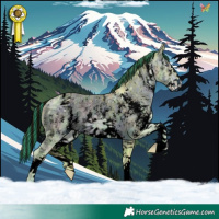 Horse Color:ERROR: UNKNOWN ANOMALY