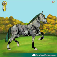Horse Color:ERROR: UNKNOWN ANOMALY