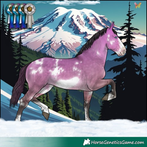 Horse Color:White Spotted Buckskin Dun Sabino Frame 