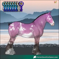 Horse Color:White Spotted Buckskin Dun Sabino Frame