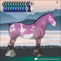 Horse Color:White Spotted Buckskin Dun Sabino Frame